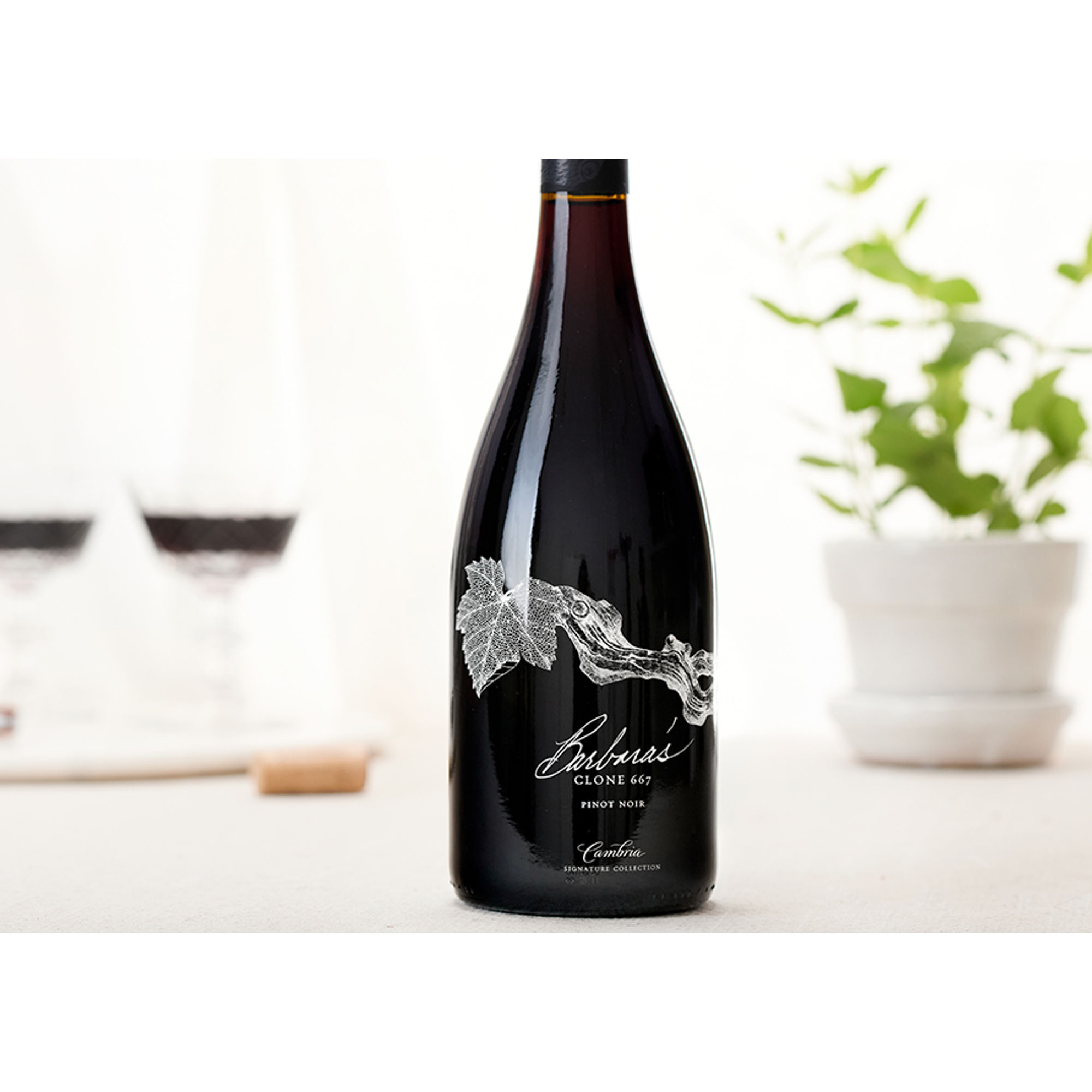 Barbara's Signature Collection Clone 667 Pinot Noir