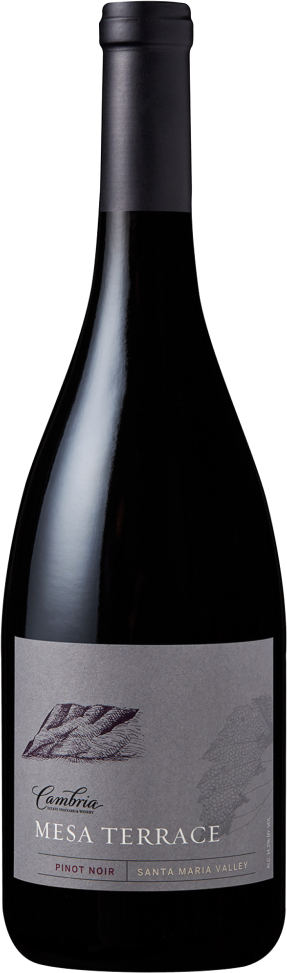Mesa Terrace Pinot Noir
