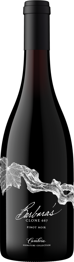 Barbara's Signature Collection Clone 667 Pinot Noir