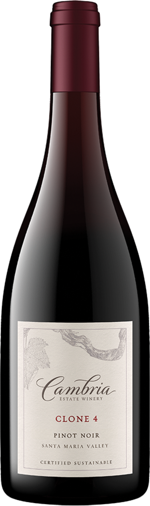 Clone 4 Pinot Noir