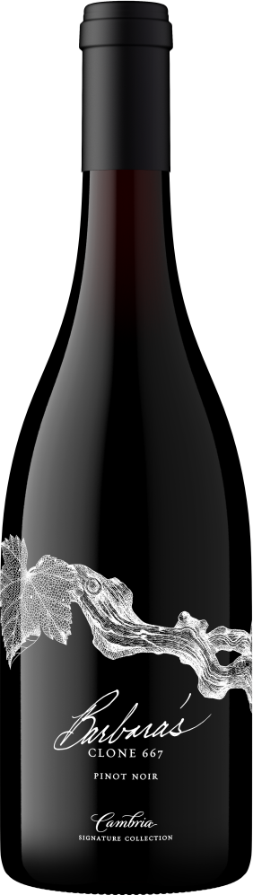 Barbara's Signature Collection Clone 667 Pinot Noir