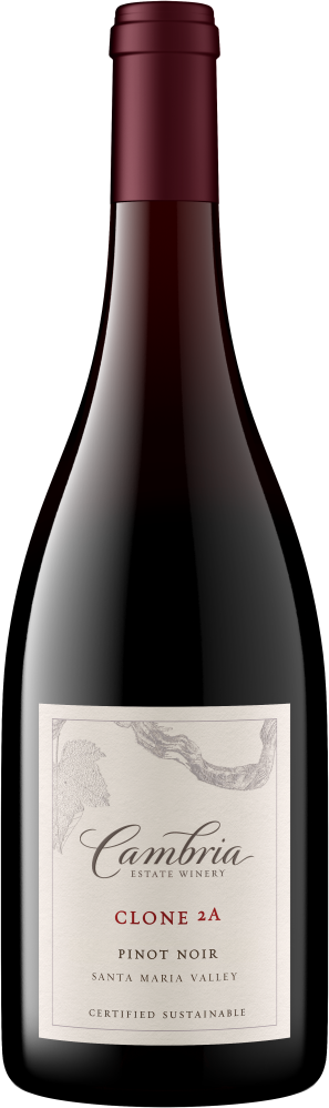 Clone 2A Pinot Noir