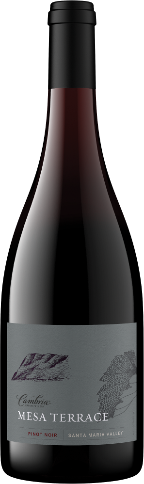 Mesa Terrace Pinot Noir