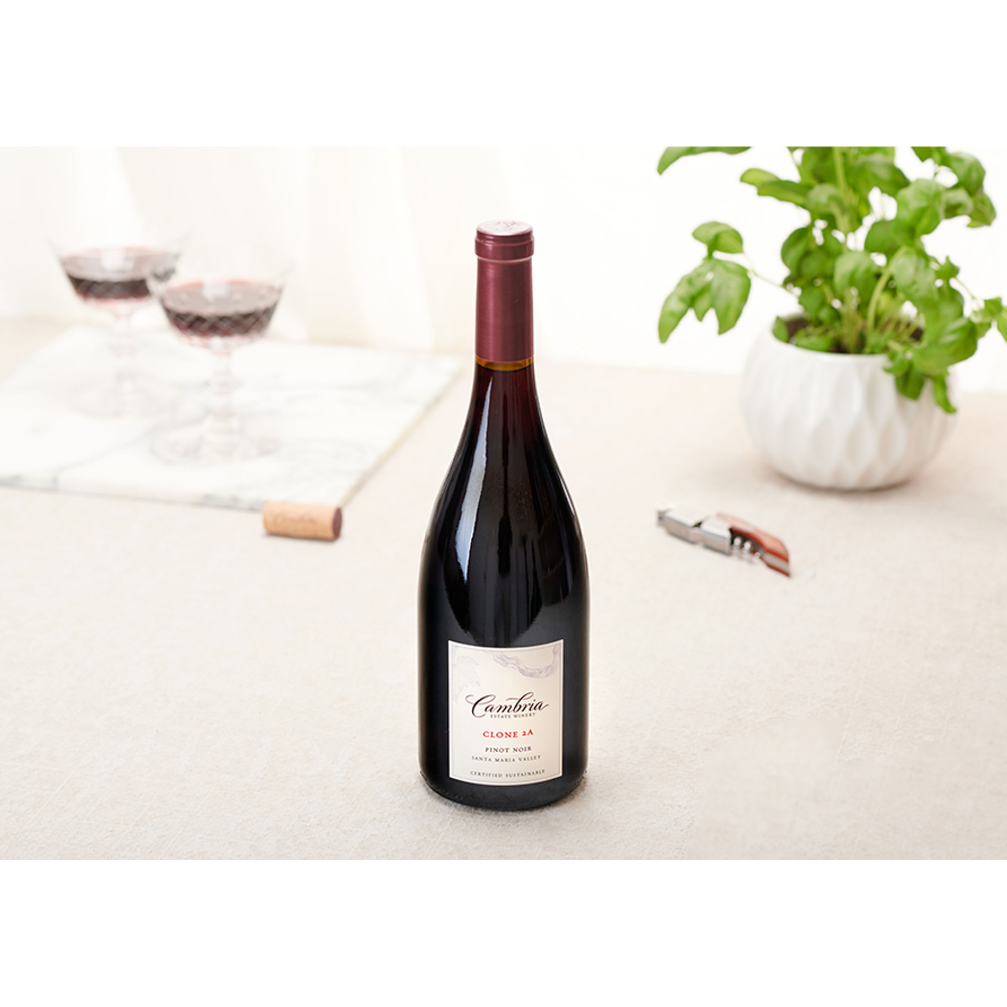 Clone 2A Pinot Noir