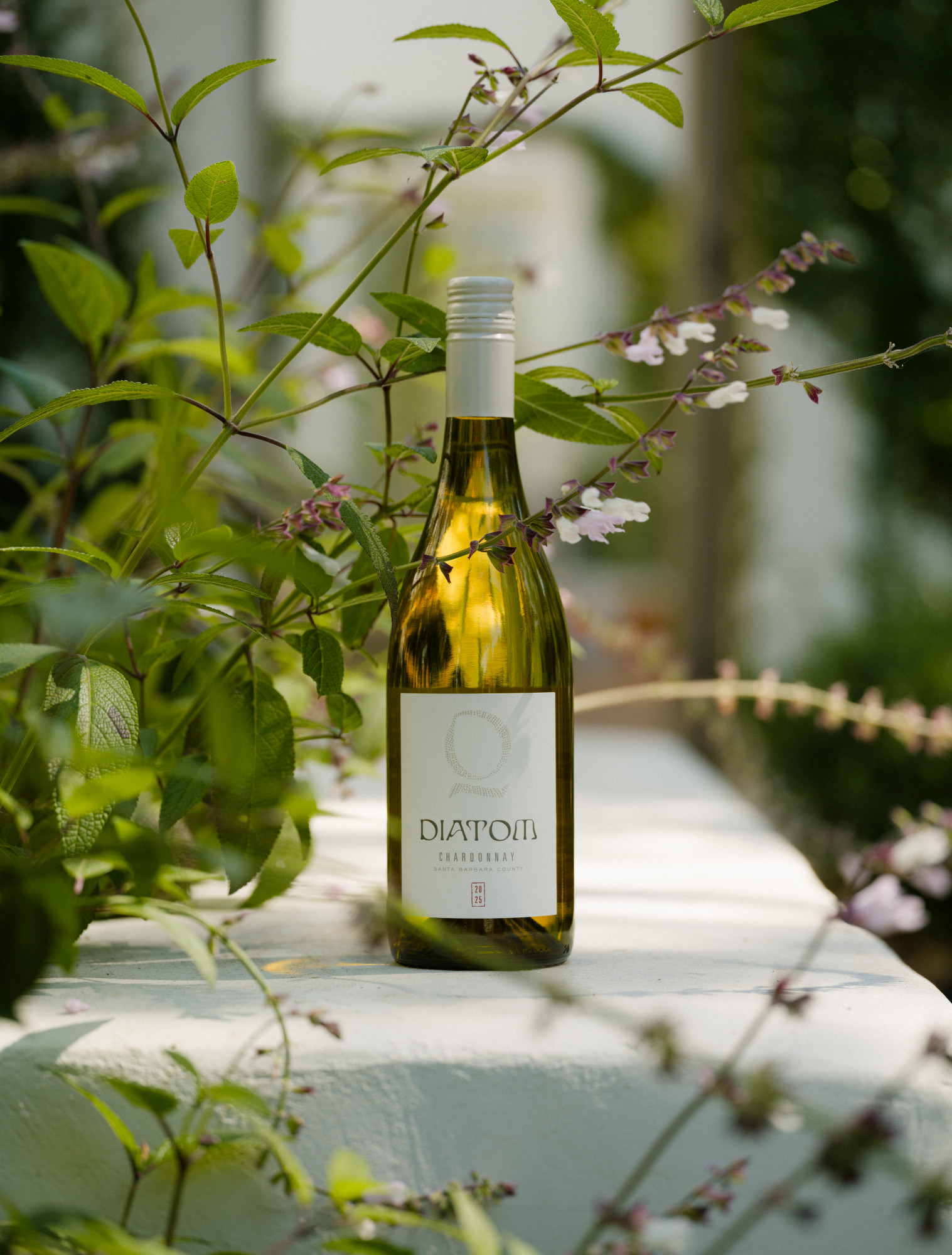 Santa Barbara County Chardonnay