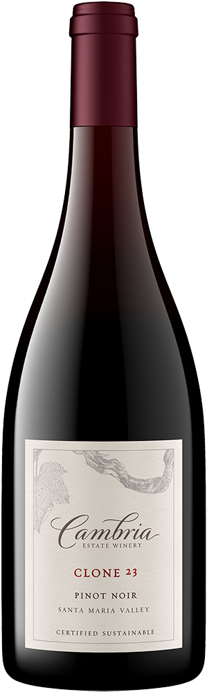 Clone 23 Pinot Noir