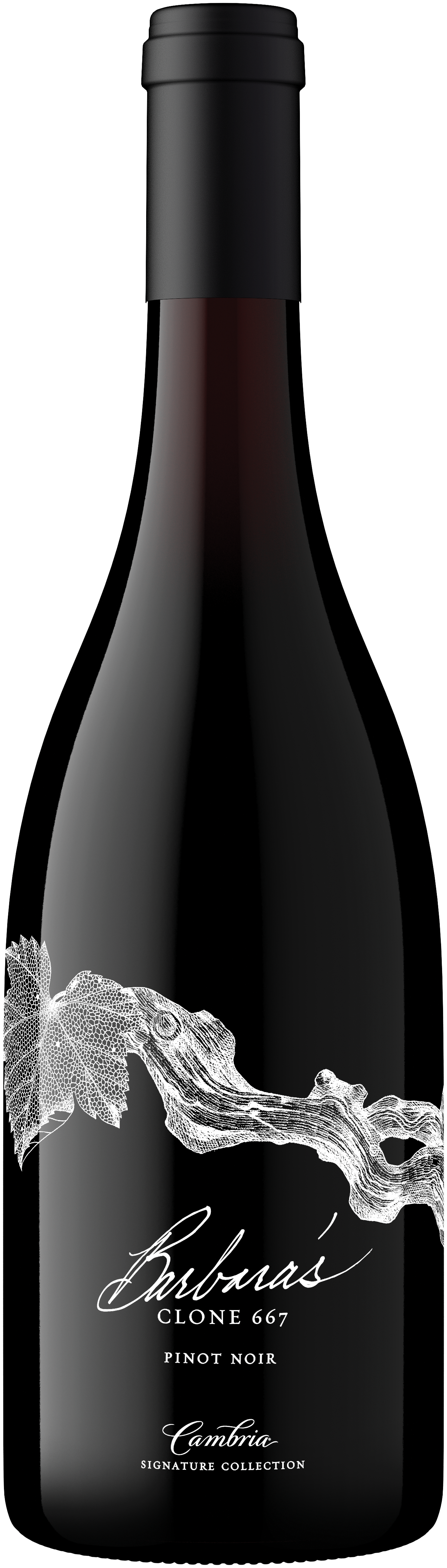 Barbara's Signature Pinot Noir