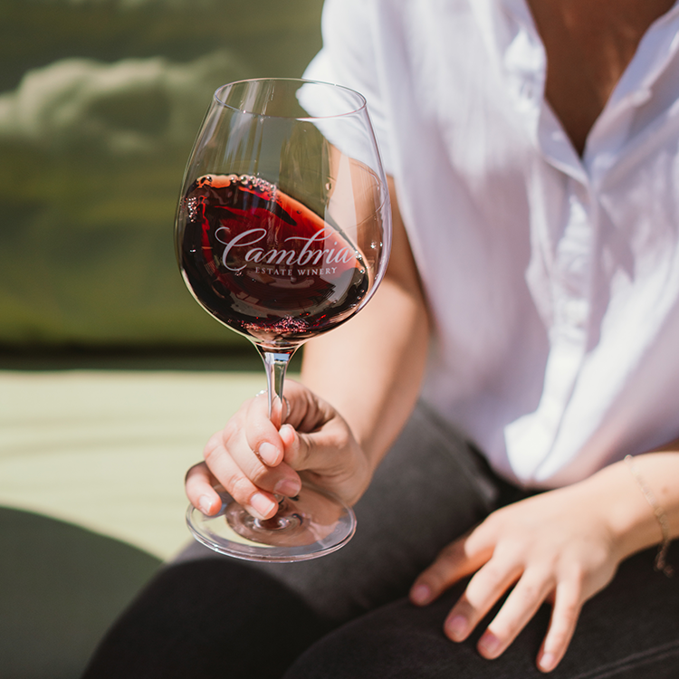 Sip on Cambria Julia's Vineyard Pinot Noir